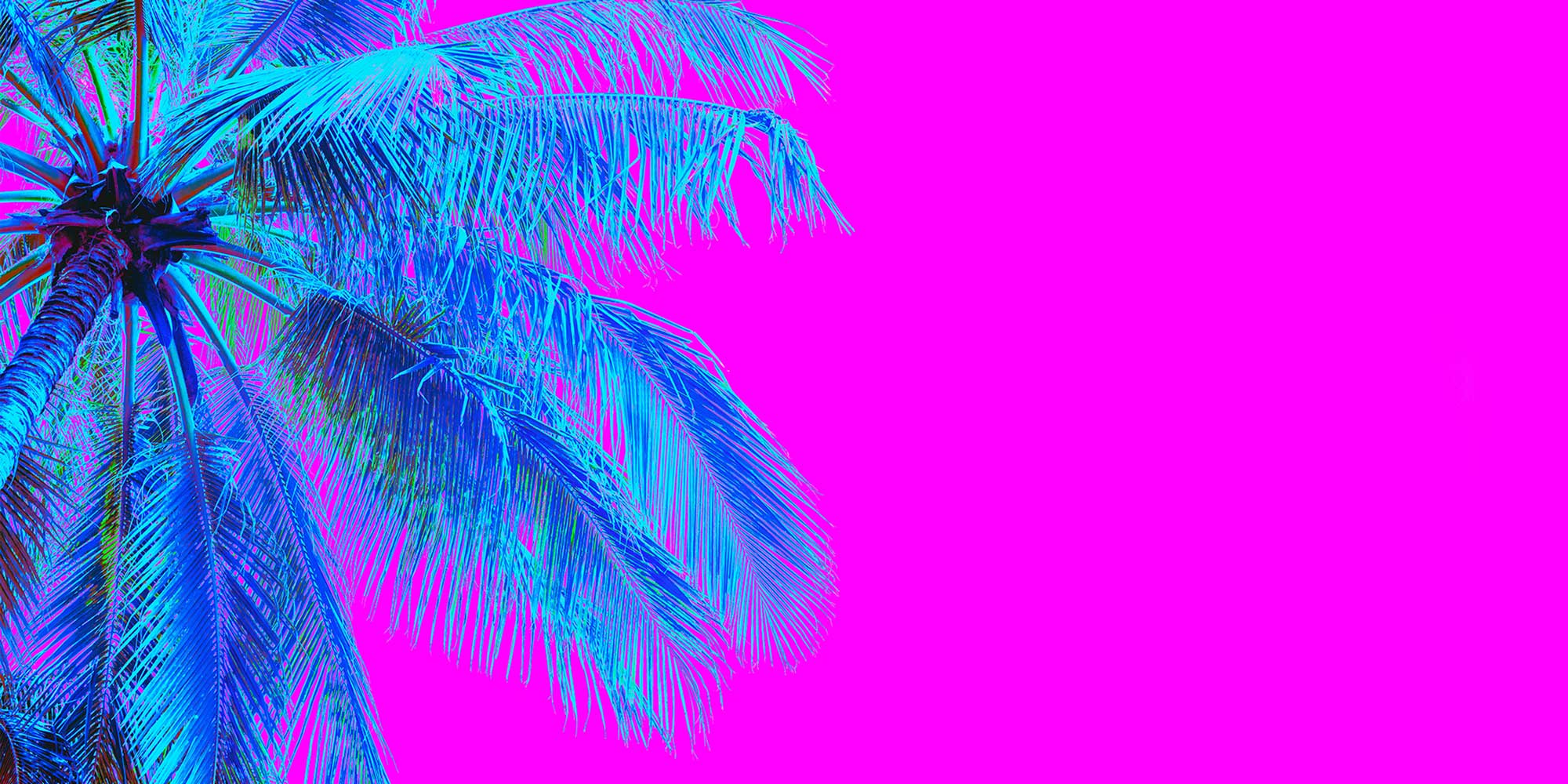 We bring big, enveloping sound to the dancefloor.